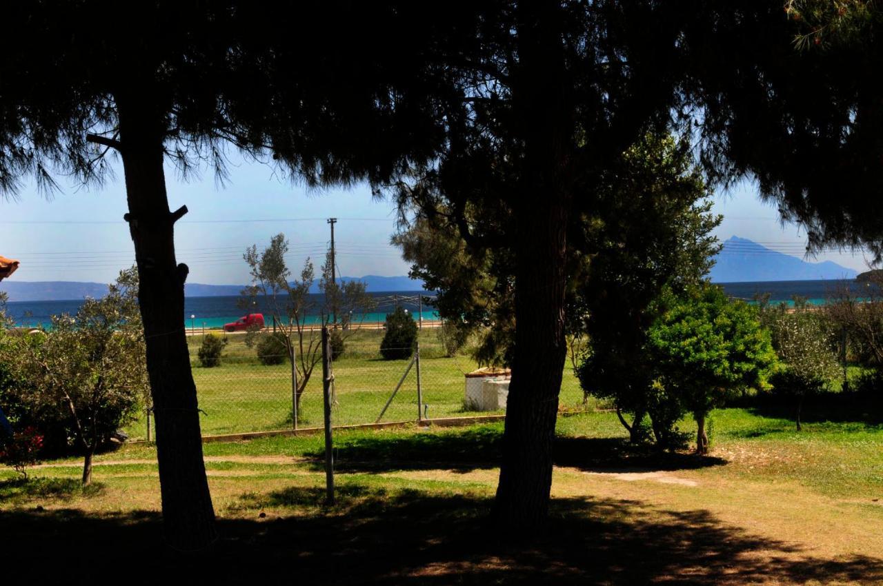 Athos View Villa By The Sea ออร์โมส ปานากีอาส ภายนอก รูปภาพ